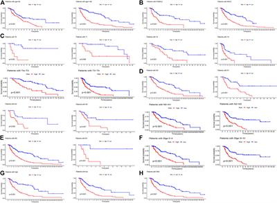 A Novel Ferroptosis-Related lncRNA Prognostic Model and Immune Infiltration Features in Skin Cutaneous Melanoma